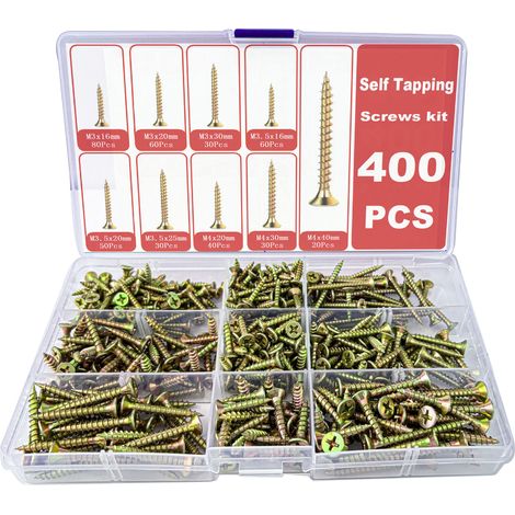 Coffret de 400 vis à bois autotaraudeuses à tête fraisée cruciforme, zinguées couleur et haute résistance (1/5)