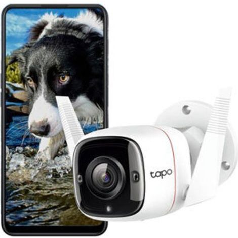 Caméra de surveillance  TAPO C310 N/A N/A 2304 x 1296 pixels (1/3)