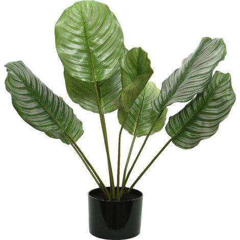 CALATHEA VERDE ARTIFICIALE IN VASO 53X63CM ACCESSORI DECORO INTERNO ESTERNO