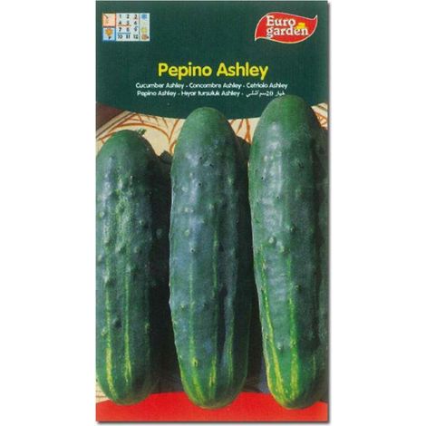 semillas fito horticolas pepino ashley 00234 (caja 10 unidades)