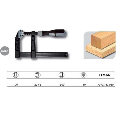 Pressa con impugnatura in nylon LEMAN - asta in acciaio - sporgenza 90 - sezione 22x5 - serraggio 300 - 7070.187.030.