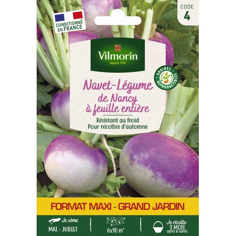 Vilmorin Navet-Légume de Nancy à Feuille Entière - Grand Modèle (1/2)