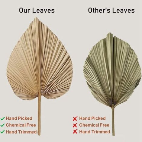 Lot de 4 Feuilles de palmier, 45x25 cm, Fibre naturelle, Décoration bohème, Mariage, Intérieur (1/3)