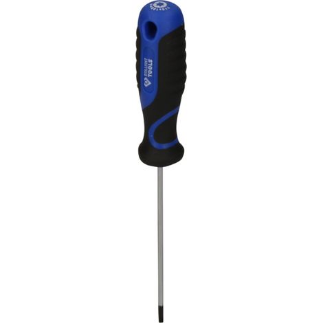 Brilliant Tools Tournevis TORX, T10 (1/5)