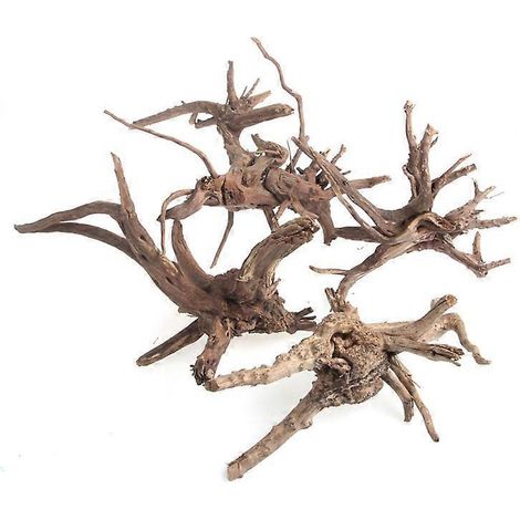 Bois flotté pour aquarium, branches de bois naturel pour reptiles, 18 cm x 28 cm, forme irrégulière - L (1/5)