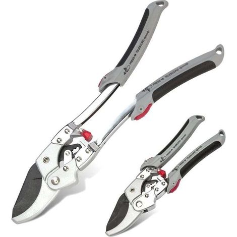 Secateur à crémaillère télescopique 20mm (1/4)