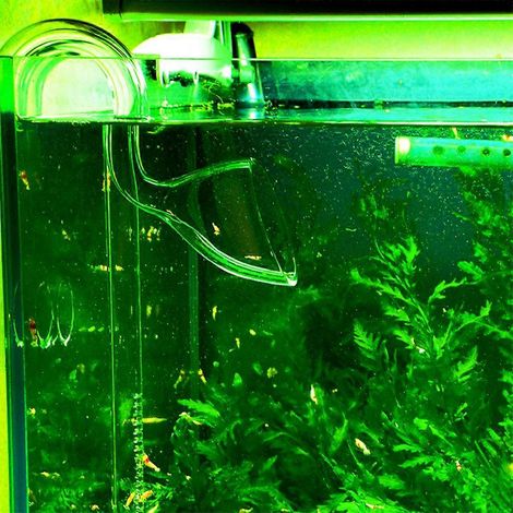 Tuyau de sortie en verre transparent avec ventouses pour aquarium - Tank-L- (1/4)