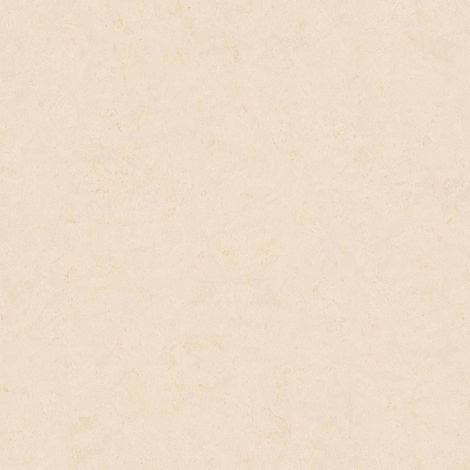 BRICOFLOR Papier peint Beige / Crème - Papier peint Uni - 10,05 x 0,53 m (1/5)