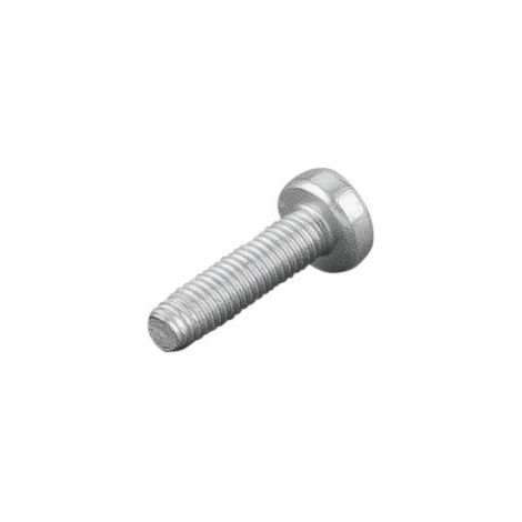 Linsenschraube 083134