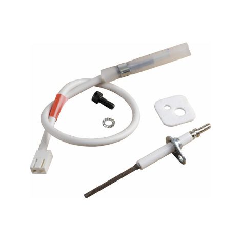 Remeha Electrode d'ionisation + câble SBK, 83878568