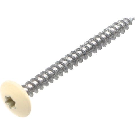 Vis Penture 4.5X50 Filetage total TORX T20 Acier zingué LAQ RAL9010 blanc pur-10 pièces