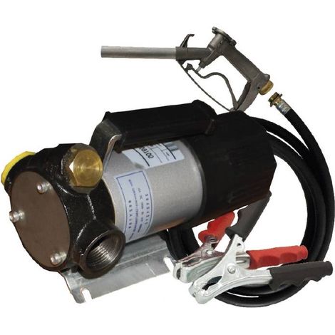 GROUPE TRANSFERT 24V 80L/M PIST MANUEL ALU+FLEX 4M SERTIS RENSON