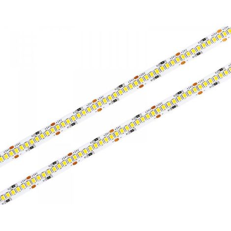 Striscia LED SMD 2835 24V, 5 Metri, Larga 10mm, Freddo 6500K, Super Luminoso 24W/M 4000LM/M 160LM/W 240SMD/M, Dimmerabile PWM, Tagliabile ogni 33mm, IP20, CRI80