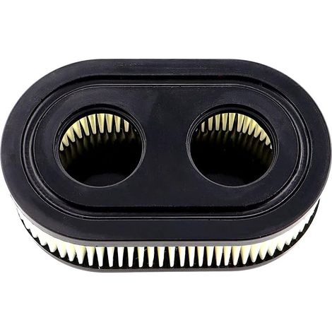 Filtre à air pour moteur Briggs Stratton - 1 Pièce - Papier Plissé - Remplacement Réf 798339 - Tondeuse et Broyeur - 112x69x37 mm (1/5)