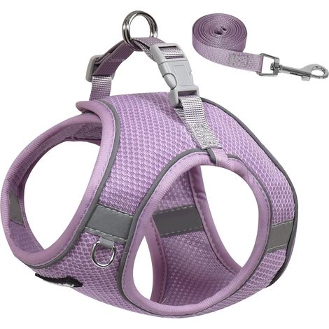 1 Ensemble Harnais Et Laisse, Gilet Rembourré Réglable, Bandes Réfléchissantes, Pour Chien Petit Et Moyen