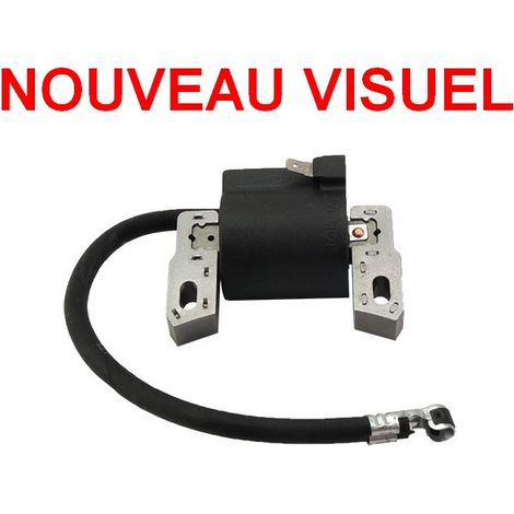 Bobine d'allumage Briggs et Stratton Quantum 5 et 6.75cv – Entraxe 58.7 mm – Épaisseur 12.8 mm – Pièce adaptable