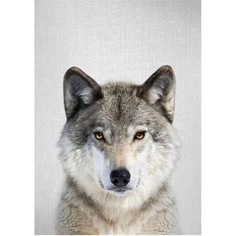 Mosaico de diamantes 5D - Lobo 40x30cm