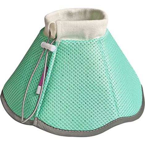 Sostieni il percorso di recupero del tuo cane con Green S