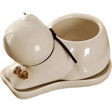 Pots à orchidées avec trous de drainage et soucoupe, transparents (1/5)