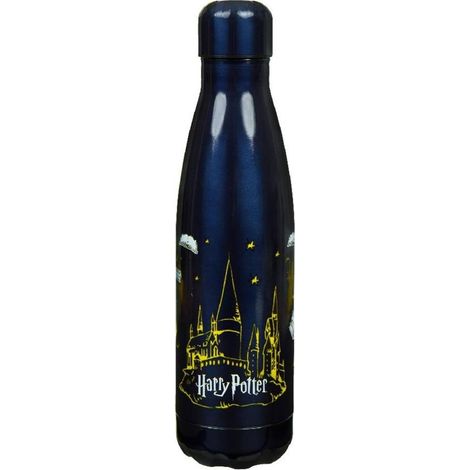 Bottiglia termica di Harry Potter