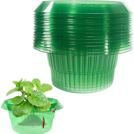 Housse de protection pour légumes, protection anti-escargots, ronde, épaisse, housse de protection commerciale pour semis, esthétique, protection agricole, verte et transparente. (1/5)