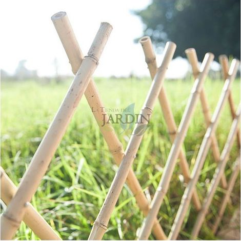 bambus sichtschutz outdoor Bambus-Sichtschutzzaun Brasil | Natur