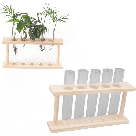 Décoration de table élégante avec un pot en verre transparent en bois simple pour la culture hydroponique de lierre vert, dans un salon. (1/5)