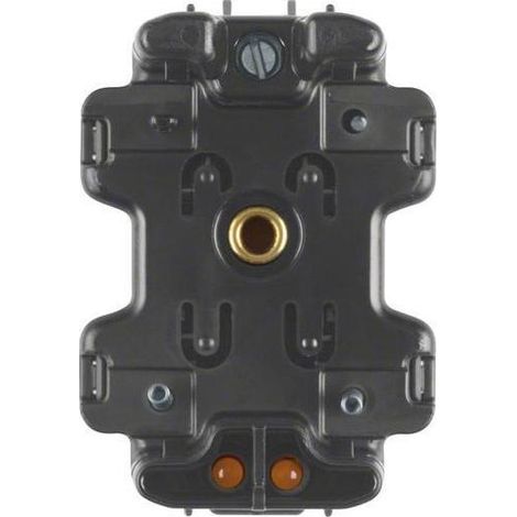Berker 1680 Serien-LED-Aggregat mit N-Klemme Modul-Einsätze schwarz (1/5)