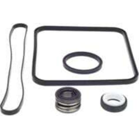 Ersatzdichtung für das Super Pump Go Kit, kompatibel mit den Modellen SP1600, SP2600 Regular, X, VSP, SPX1600TRA, SP1600Z2, PS-201, SPX1600R, SPX1600S und SPX1600T (Schwimmbad).