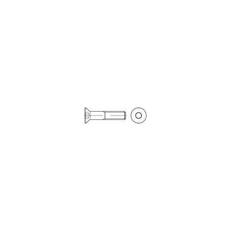 TOOLCRAFT 401638 - VITI A TESTA SVASATA M4, 12 MM, A ESAGONO INCASSATO, DIN 7991, ISO 10642, IN ACCIAIO INOX, 100 PEZZI