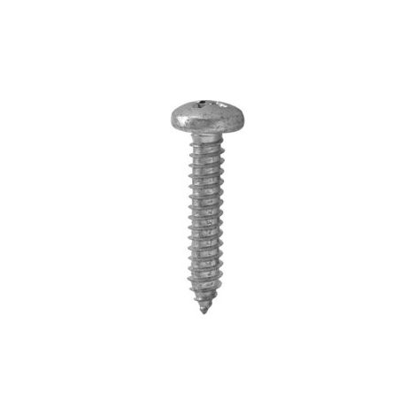7981 HP - PHILLIPS. ZINCATO 6,3X019,0 ( 250 pz.)