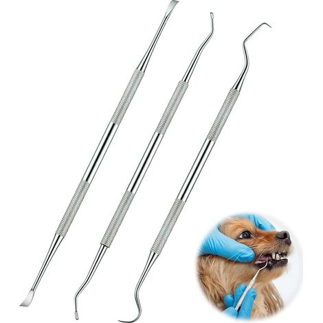 Stainless Steel Tartar Scraper