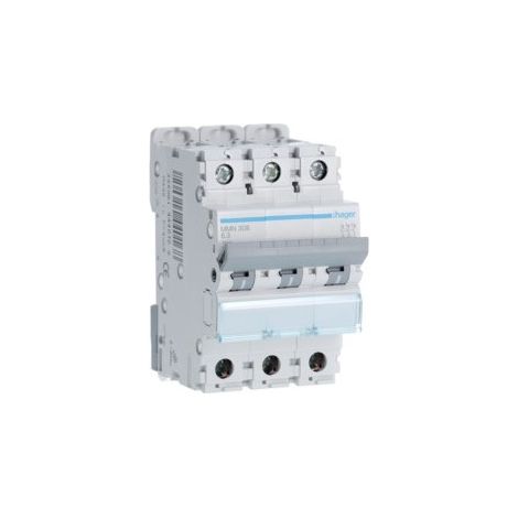 Disj.mag.2P 25kA 6.3A 3m - DISJONCTEURS MULTI. HAGER MMN306 (1/2)