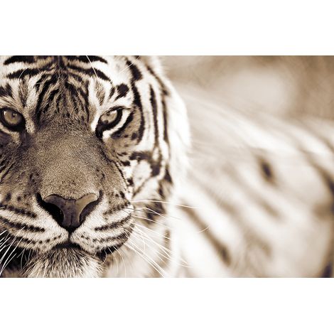 Papier peint panoramique animaux 3D idéal pour chambre | Tapisserie panoramique tigre moderne | Papier peint panoramique beige et blanc - 267 x 400 cm (4 pièces) (1/2)