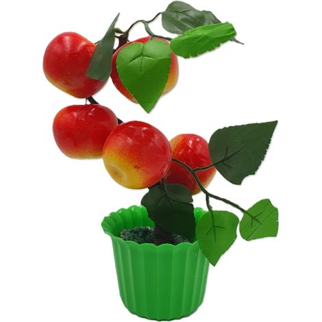 albero da frutto in vaso