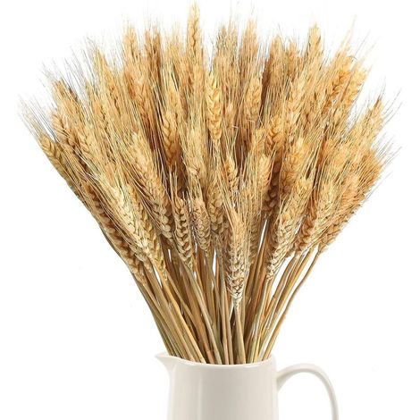 100pcs Fleurs séchées Blé Naturel Fleurs séchées Décoration Fleurs séchées Blé pour Mariage Pièces centrales Maison Balcon Fête Table Vase Noël Décoration 40cm (1/5)