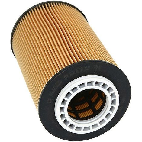 51055010013 51055010019 P551088 Élément de filtre à huile pour camions TGS/TGX (1/5)