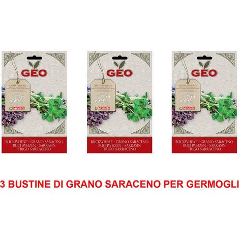 OFFERTA 3 CONFEZIONI SEMI BIO DI GRANO SARACENO PER GERMOGLI 90GR SEMENZAIO SEMENTI