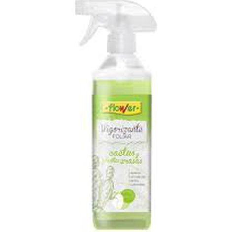 Cactus floreale fiorente, crasas e piante aeree, 500 ml