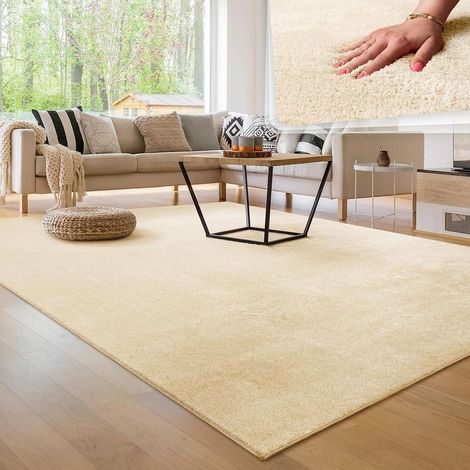 Tapis de Salon Unicolore Lavable Pile Courte et Douce, Dimension:120x200 cm, Couleur:Beige (1/3)