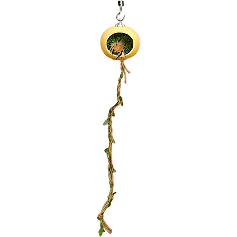 Accessoires pour Terrarium D'Araignées Sauteuses,Abri pour Araignées Sauteuses Accessoires De Maison Cachette pour Terrariums, Décor D'Abri pour Habitat, Destiné Aux Petits Reptiles, Geckos (1/5)