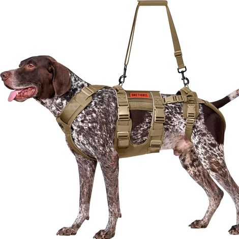 Harnais pour chien - Harnais de levage réglable avec 2 poignées pour le soutien et la rééducation - Convient pour les chiens de taille moyenne et grande - Marron - Taille L (1/5)