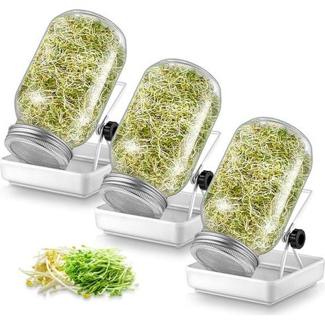 Ensemble de 3 pots de germination en verre, comprenant 3 coupelles d'eau, 3 couvercles de grille de filtration en acier inoxydable 304 et 3 couvercles standard. (1/5)