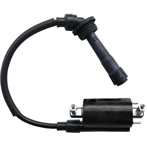 Coupe-circuit d'allumage de moto Bobine d'allumage pour moto pour Benelli BJ250-15 BJ250-15A BN251 BN250 TNT25 TNT250 / BN TNT 25 250 251 (1/4)