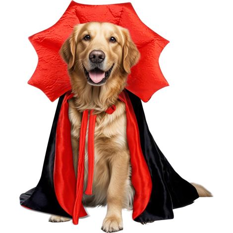 Golden Retriever Halloween Kostüm, Vampirumhang geeignet für große Hunde, XL (1/5)