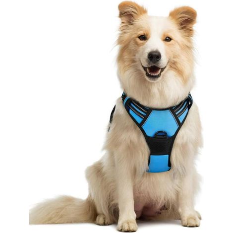 Arnés ajustable para perros Rabbitgoo con asa de control, arnés reflectante, material transpirable y duradero - Azul claro - Mediano (1/4)