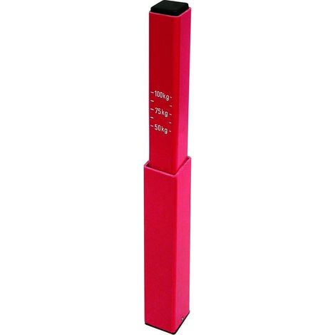 Mesure de poids de timon a 100kg -par 125kg- (1/2)