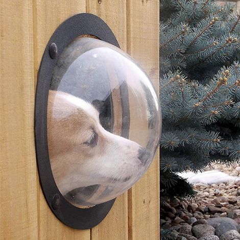 Fenêtre Pour Clôture - Dôme Acrylique Transparent Pour Animaux - Fenêtre D'Observation Pour Chiens Et Chats - 31,5 x 31,5 x 12,5 cm - 1 Pièce
