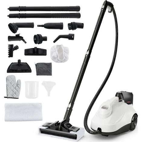 Steam Cleaner 1.8L Water Tank Steamer 2000W Steam Cleaning Machine (1/5)