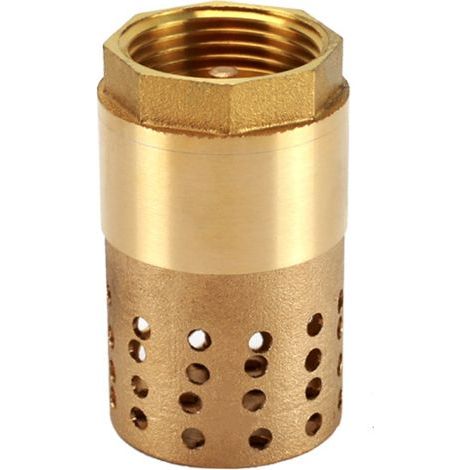 Clapet anti-retour pompe 1 pouce - clapet de pied clapet anti retour (1 pouce) (1/3)